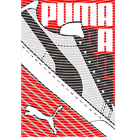 Brand Catalog-ZX 578